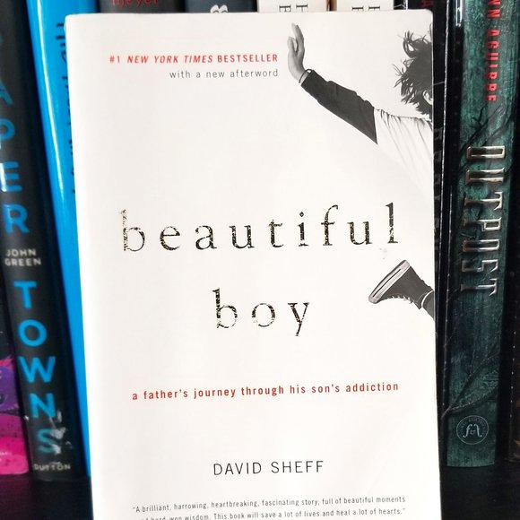 Beautiful Boy by David Sheff, Paperback - Picture 1 of 1